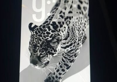 Vendo IPhone 11 !