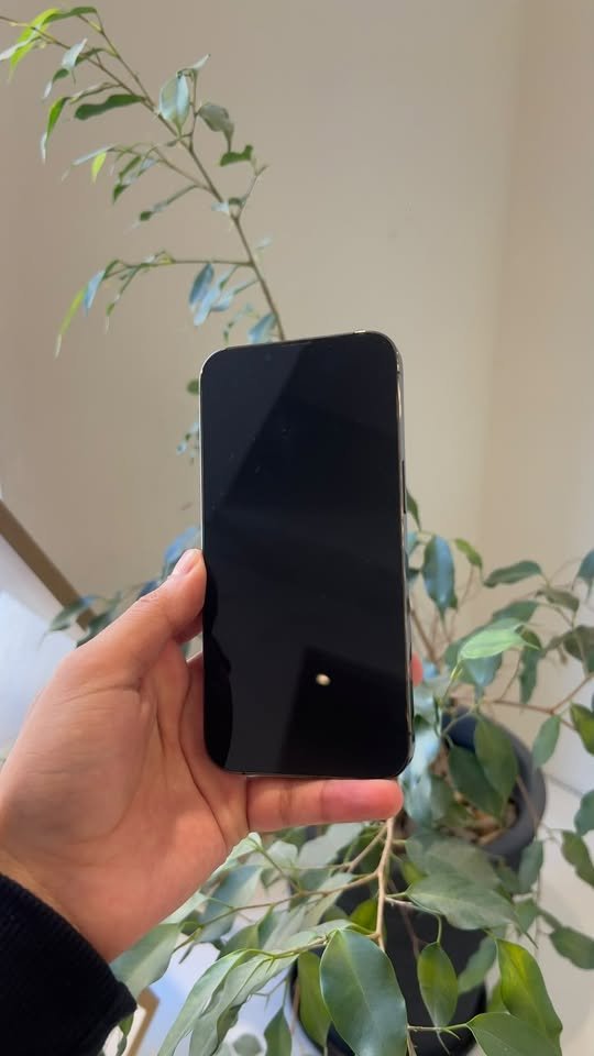 iPhone 13 Pro 128GB Grafito | Batería 100%