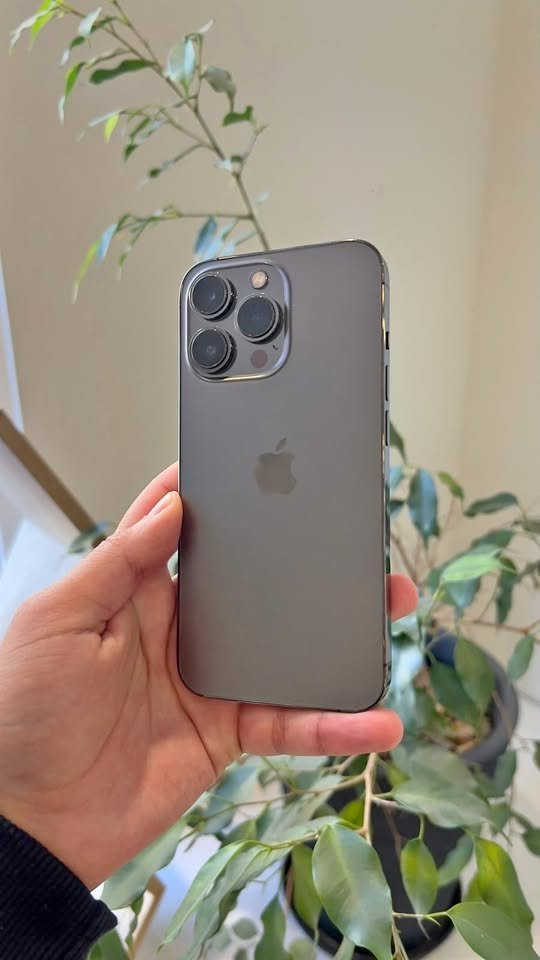 iPhone 13 Pro 128GB Grafito | Batería 100%